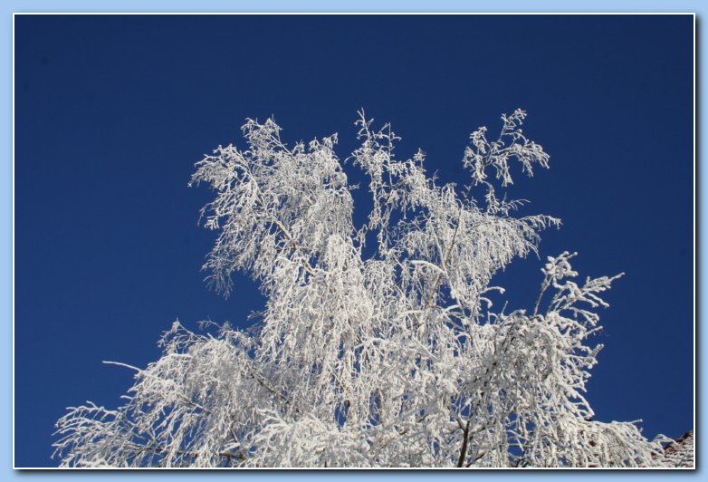 Arnhem Snow 162